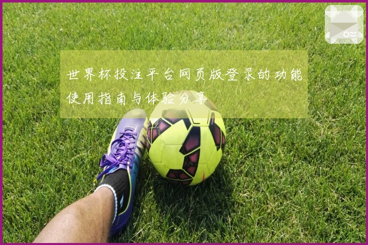 世界杯投注平台网页版登录的功能使用指南与体验分享