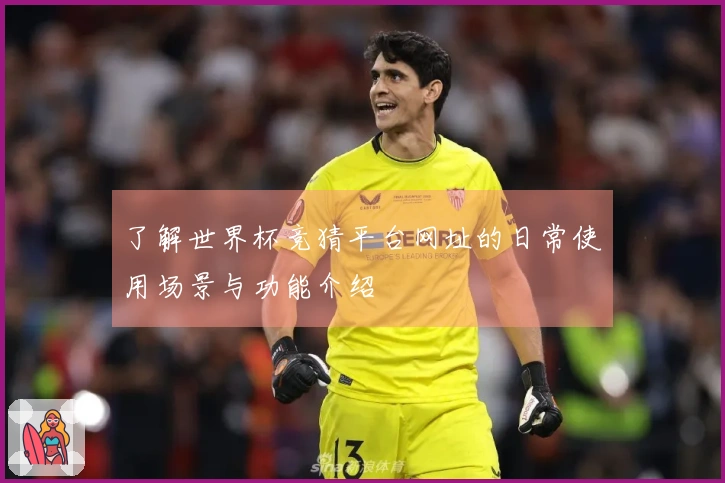 了解世界杯竞猜平台网址的日常使用场景与功能介绍