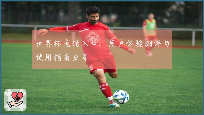 世界杯竞猜入口：用户体验测评与使用指南分享