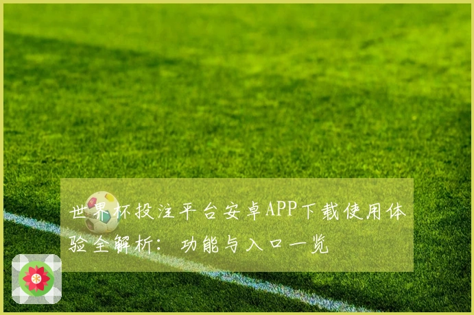 世界杯投注平台安卓APP下载使用体验全解析：功能与入口一览