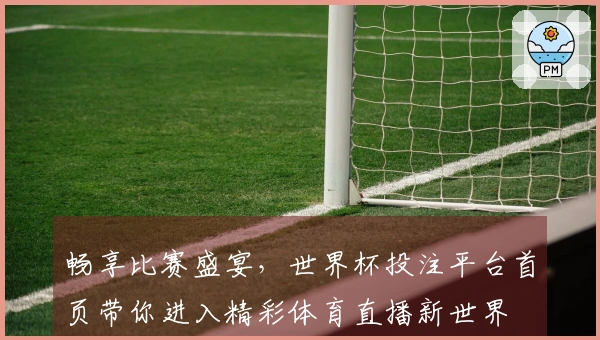 畅享比赛盛宴，世界杯投注平台首页带你进入精彩体育直播新世界