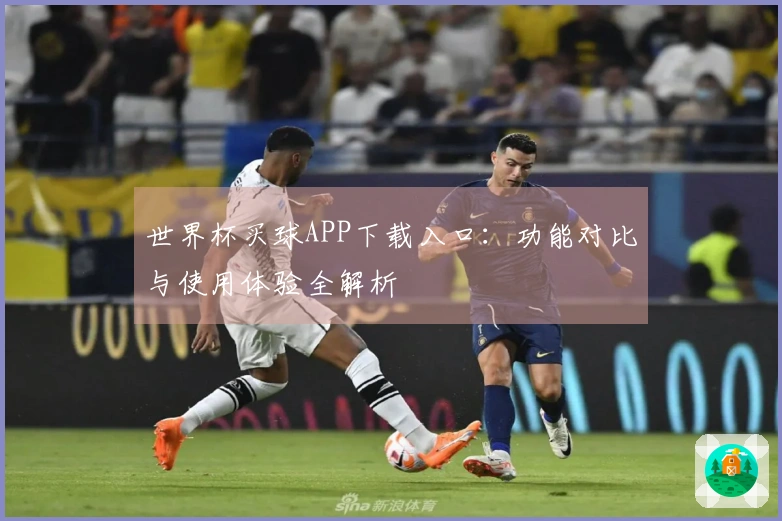 世界杯买球APP下载入口：功能对比与使用体验全解析
