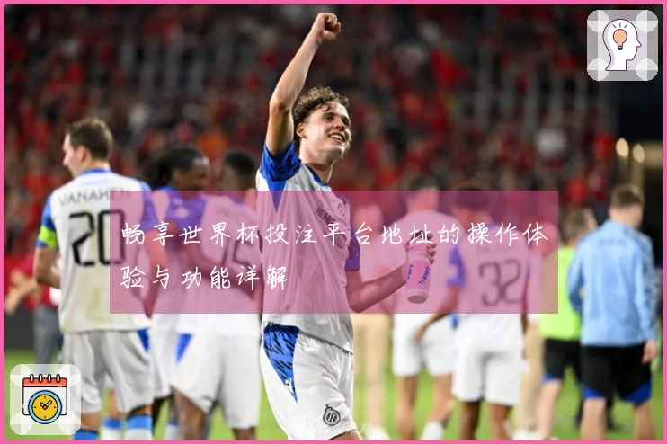 畅享世界杯投注平台地址的操作体验与功能详解