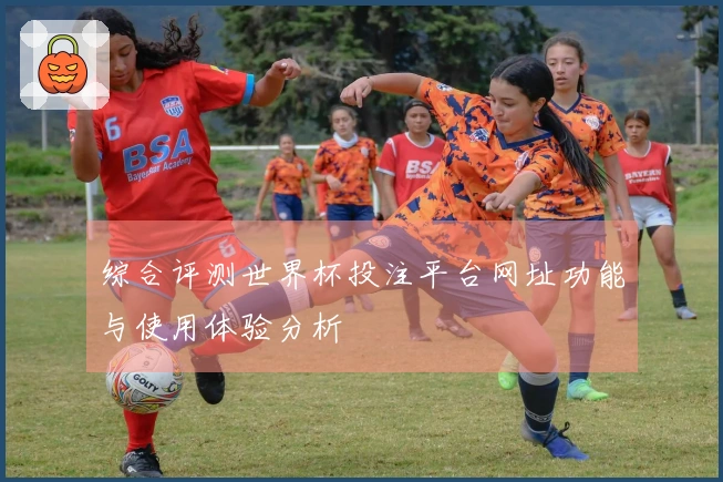 综合评测世界杯投注平台网址功能与使用体验分析