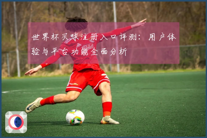 世界杯买球注册入口评测：用户体验与平台功能全面分析