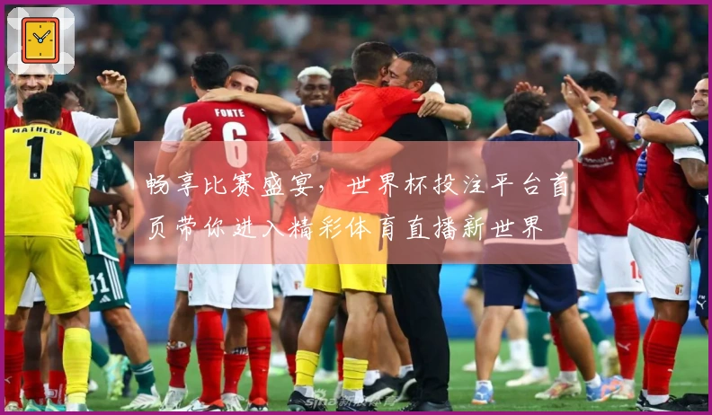 畅享比赛盛宴，世界杯投注平台首页带你进入精彩体育直播新世界
