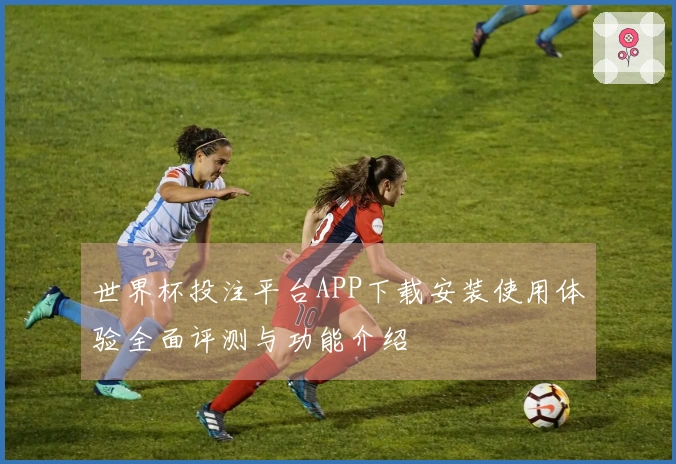 世界杯投注平台APP下载安装使用体验全面评测与功能介绍