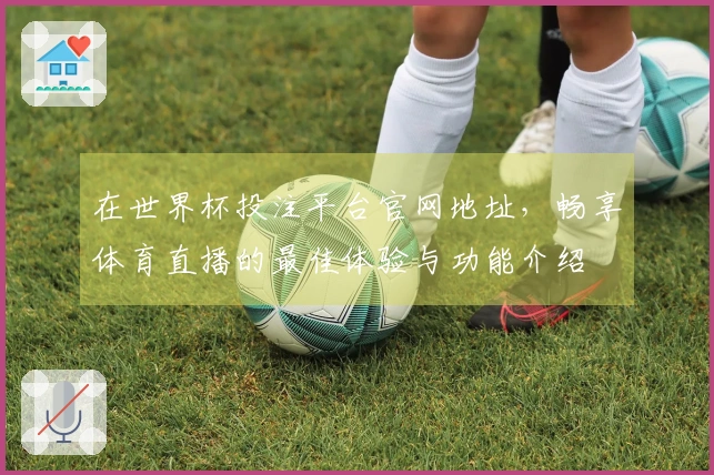 在世界杯投注平台官网地址，畅享体育直播的最佳体验与功能介绍