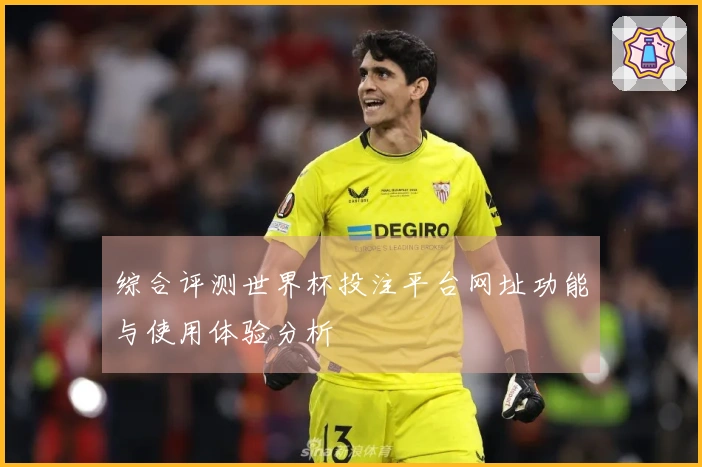 综合评测世界杯投注平台网址功能与使用体验分析