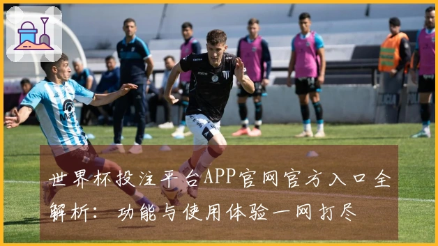 世界杯投注平台APP官网官方入口全解析：功能与使用体验一网打尽