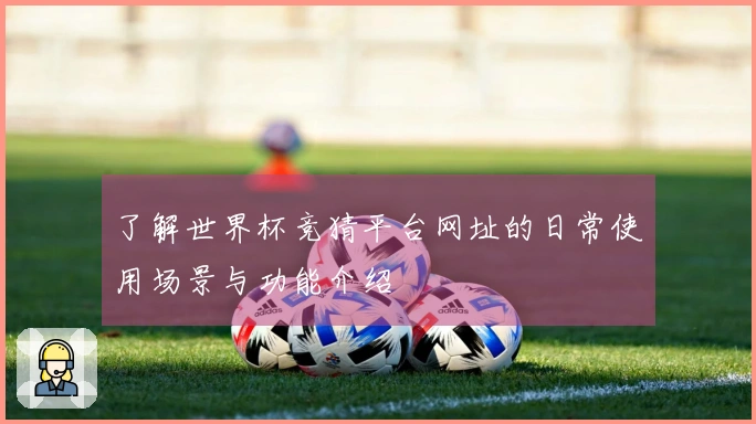 了解世界杯竞猜平台网址的日常使用场景与功能介绍