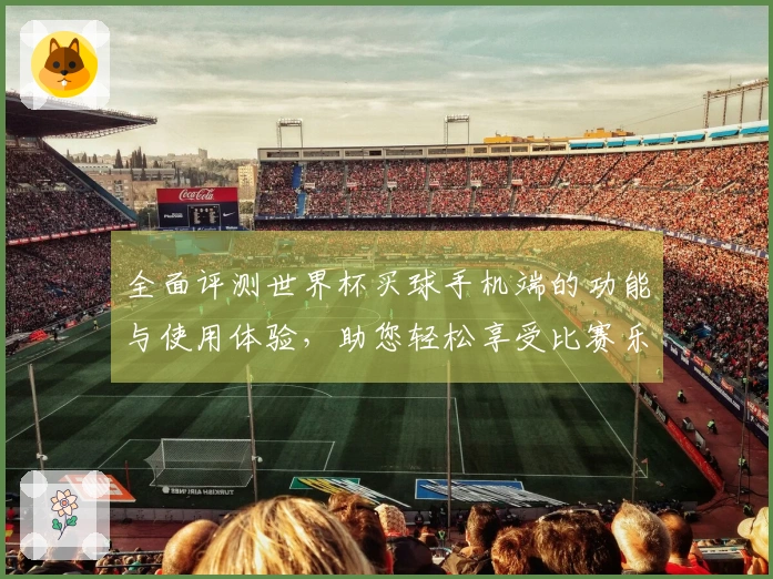 全面评测世界杯买球手机端的功能与使用体验，助您轻松享受比赛乐趣