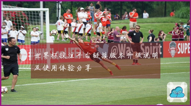世界杯投注平台链接版本升级说明及使用体验分享
