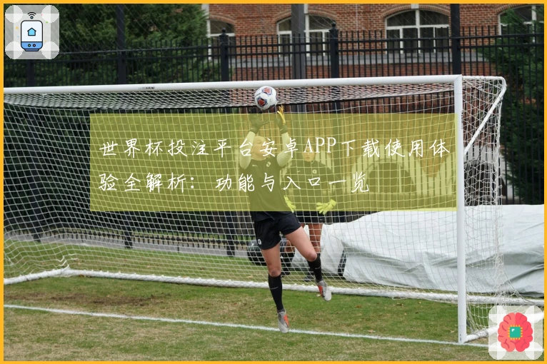 世界杯投注平台安卓APP下载使用体验全解析：功能与入口一览